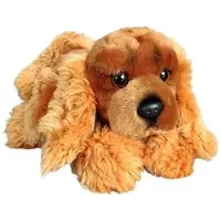 Dubi Spanielkoira makuuasennossa 30 cm