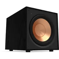 Klipsch R-101SW 10" subwoofer