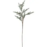 Bloomingville Pine