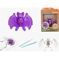 Scout Anatomian Tutkimussetti Lepakko