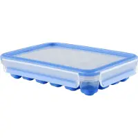 Tefal MasterSeal Fresh -jääpalarasia