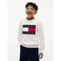 Tommy Hilfiger Collegepaita 'Heritage' laivastonsininen / punainen / valkoinen / villanvalkoinen