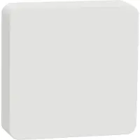 Schneider Electric Electric Wiser paristokäyttöinen lämpötila/kosteusanturi