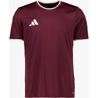 Adidas Toiminnallinen paita 'Entrada26' burgundin punainen / valkoinen
