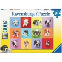 Sonstige Verlage Animal Selfie 300P - Multi/patterned - ONE SIZE