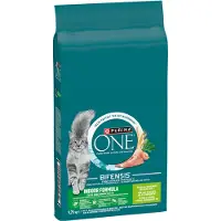 Purina One 2x9,75kg Indoor Formula kissanruoka