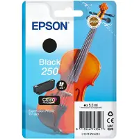 Epson Singlepack Black 250 ink (C13T16N14010)