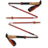 Black Diamond pursuit carbon flz trek poles