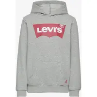 Levi's Batwing Screenprint Hooded Pullover - Grey - 98
