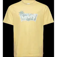 Levi's LVB High Tide Batwing T-paita, Raffia, 164