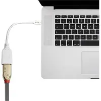 Lindy 41021, 0,15 m, Mini DisplayPort, DisplayPort, Uros, Naaras, Valkoinen