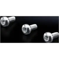 Rittal RUUVI M5X12 500KPL KUPUTÄHTIKANTA (2489500)