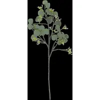 Eucalyptus Stem - Green - H82CM