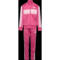 Adidas Treenipuku 'Seasonal Essentials Tiberio' vaalea pinkki / valkoinen