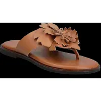Wonders Musa 87K - Brown - 38