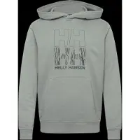 Helly Hansen Core Graphic Huppari