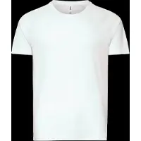 2XU Aero Mesh Lyhythihainen T-paita