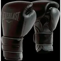 Everlast Powerlock 2 Hook&loop Harjoitushanskat