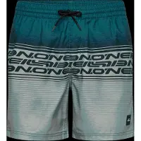 O'Neill Logo Stripe 16'' Surffishortsit vihreä, S