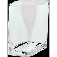 Blomus Vase S - 21 X 18 X 10 Cm - Duasis - Clear - Nude - L 18.2CM