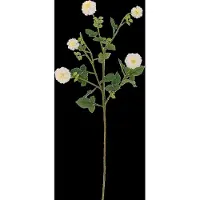 Bloomingville Chrysantemum Stem - White - H101CM