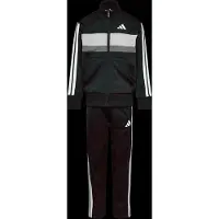 Adidas Seasonal Essentials Tiberio 3 Stripes Tricot Verkkapuku