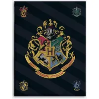 Harry Potter Fleece Plaid Hp 067 - 100X140 Cm - Multi/patterned - 100X140CM
