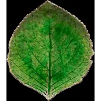 Costa Nova Bladfad Hydrangea S - Green - 17.2X 15CM