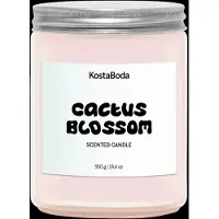Kosta Boda Mind tuoksukynttilä Cactus Blossom, 550 g