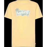 Levi's LVB High Tide Batwing T-paita, Raffia, 128