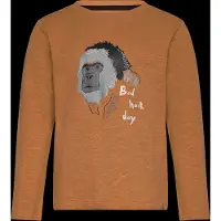 Minymo T-Shirt Ls - Brown - 104