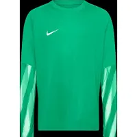 Nike Maalivahdin paita Dri-FIT Park V - Vihreä/Valkoinen Lapset, koko XL: 158-170 cm