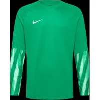 Nike Dri-Fit Park Goalkeeper Jersey Long-Sleeved - Green - L