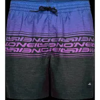 O'Neill Logo Stripe 16'' Surffishortsit kuviotu, M