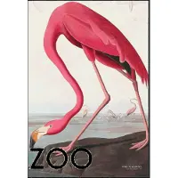 Poster & Frame A.p. Atelier - The Zoo Collection — Pink Flamingo — Edt. 002 - Pink - 50X70CM