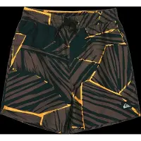 Quiksilver Everyday Printed Volley Yth 14 - Khaki green - 164