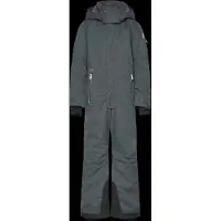 Reima Reimatec Winter Overall, Reach - Silver - 92
