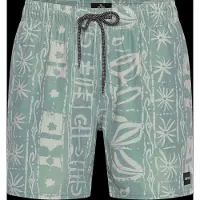 Rip Curl Sessions Volley Surffishortsit aloe Koko XXL