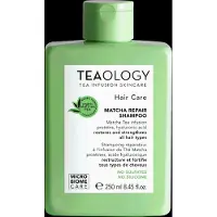 Teaology Matcha Tea Repair Shampoo vahvistava shampoo 250 ml