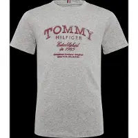 Tommy Hilfiger Tommy Faded Print T-Shirt Ss - Grey - 152