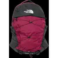 The North Face Borealis Reppu 28l