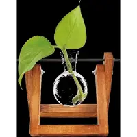 Winkee Vase - Hydro Vases Lilly - Brown - H8CM