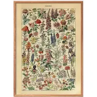 Poster & Frame Fleurs - Multi/patterned - 30X40CM