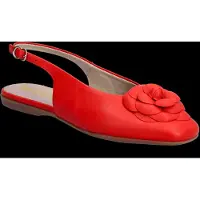 Wonders Pepa 40 - Red - 39
