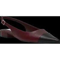 Steve madden Rowyn - Burgundy - 38