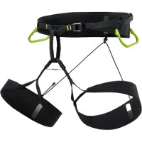 Arc'teryx Lithos Sl Harness Black / Mantis 3/B