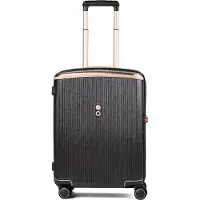 Echolac Dynasty VLX 4-pyöräinen vetolaukku 55 cm Ruskea