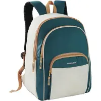 Campingaz Fold'N Cool -reppukylmälaukku 20L