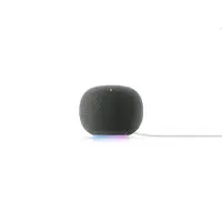 Google Home -älykaiutin, Hazel