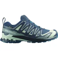 Salomon Xa Pro 3d V9 Gore-tex Polkujuoksukengät